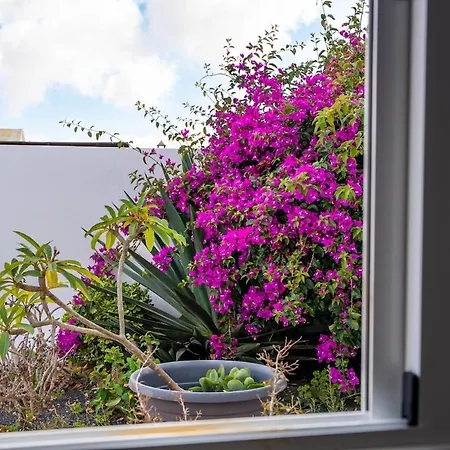 Casita Moscatel Hébergement de vacances